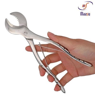 Herramienta periodontal dental de acero inoxidable de las pinzas el 18CM del yeso